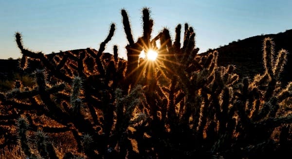 First Version, Real Version